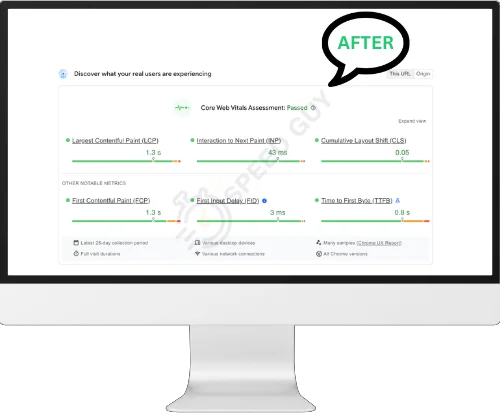 WordPress speed optimization and Core Web Vitals fixes for business sites and WooCommerce stores