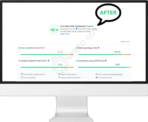 WordPress speed optimization and Core Web Vitals fixes for business sites and WooCommerce stores