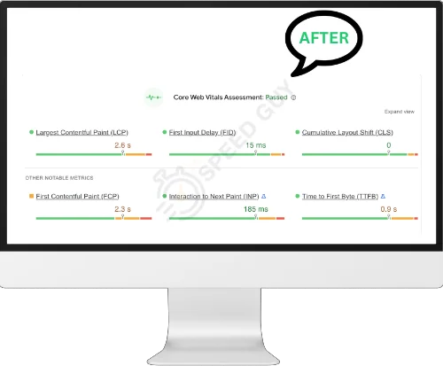 WordPress speed optimization and Core Web Vitals fixes for business sites and WooCommerce stores
